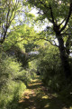 Chemin des étangs des Villes Basses