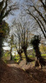 Chemin des Fontenelles