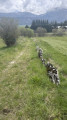 Boucle autour du pont des Aniers