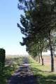 Chemin des Locatures à Poncet la Ville