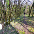 Chemin des Pervenches
