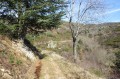 Chemin des pignes