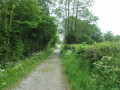 Chemin des quarante
