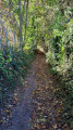 chemin des trinquettes