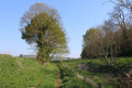 Chemin du bois Godon vers Le Meux