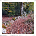 chemin du Cairns