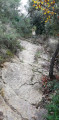 Chemin du carnier