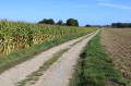 Le chemin du château