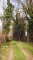 Chemin du circuit