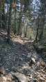 Boucle du Col d'Aurelle Boucle du Col d'Aurelle