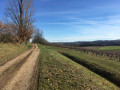 Chemin du crudel Chemin du crudel