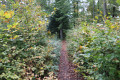 Grenzpfad vom Col du Litschhof nach Nothweiler