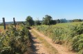 Chemin du Grand Couret Chemin du Grand Couret