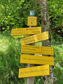 Chemin du Gros Fayard