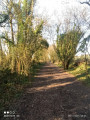 chemin du hazois
