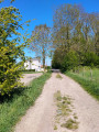 chemin du marais