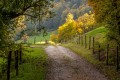 Chemin du moulin