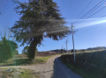 Chemin du Mourre