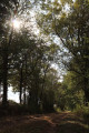 Chemin du Pilori