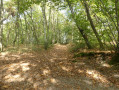 Chemin du Potelet
