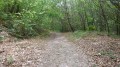 Chemin du retour en foret Chemin du retour en foret