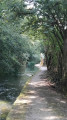 chemin du retour le long du Viaur
