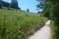 Chemin du retour vers Saint Nizier
