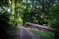 Chemin du retour