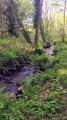 Chemin du retour