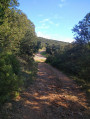 Chemin du "Ruisseau de la Grande Combe