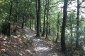 Chemin du tour du Lac du Jaunay (rive gauche)