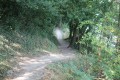 Chemin du tour du Lac du Jaunay Chemin du tour du Lac du Jaunay