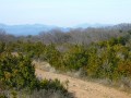 Chemin en Ardèche