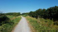 Chemin en bord de Sambre