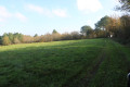 Chemin en bordure de bois
