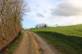 Chemin en bordure de champs ouverts