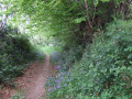 Country path