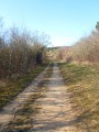 Chemin en côte. Chemin en côte.