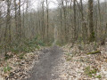 Chemin en descente