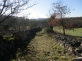 chemin en hiver