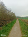 Chemin en lisière