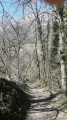 Chemin en terre pour la direction du Bassin de Gatinet