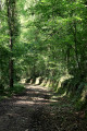 Circuit découverte des caves et falaises de Faverolles-en-Berry