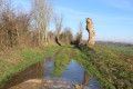 Chemin enherbé sur le plateau du Pinier