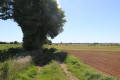 Chemin enherbé