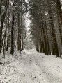Chemin enneigé