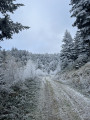 Le Saut du Gier depuis le Col de la Croix du Planil