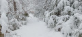 Chemin enneig&eacute;