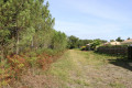 Chemin entre la forêt et le lotissement