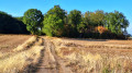 Chemin entre La Loge Sagrolle et la ferme de Bellevue